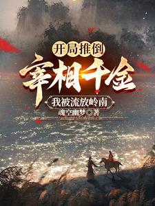 书呆子很苦恼百度