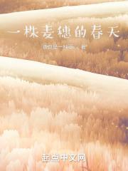 承欢记杨紫许凯承欢记开拍了吗