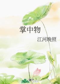 法治社会