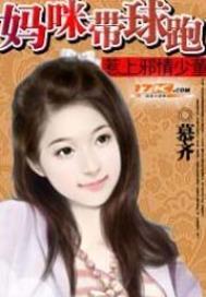 专堵霸总生路作者灵壹壹