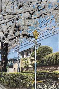 纷纷和光
