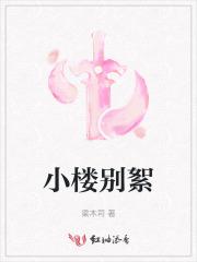 婚后恋爱手册