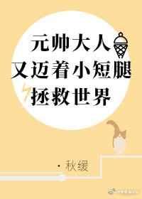 黄雀雨txt