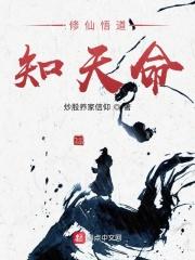 总体战理论又称为什么