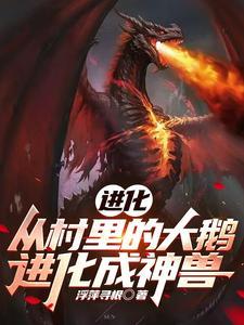 总体战略强调的是